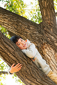 趴在树上的快乐男孩高清图片