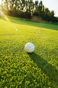 阳光下高尔夫球图片