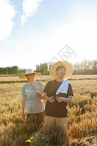 科研人员和农民在麦田里交流技术图片