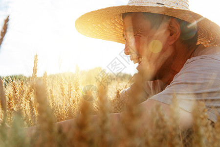 小麦丰收麦田里农民洋溢着丰收的喜悦背景