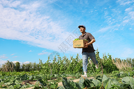 穿梭在田地间的快递员高清图片