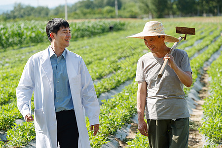 科研人员和农民在菜地里交流技术图片