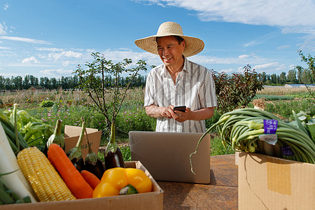 纯天然茄子农民在线直播销售农产品背景