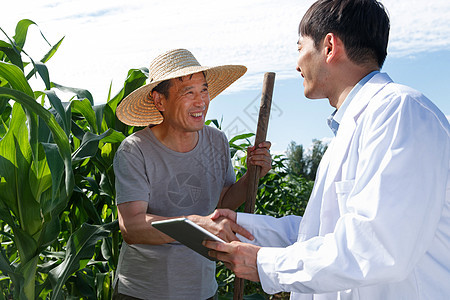 科研人员和农民在菜地里交流技术图片