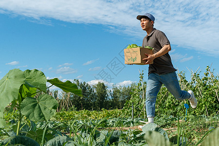 穿梭在田地间的快递员图片