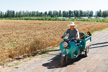 驾驶三轮车的农民图片