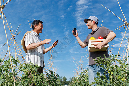 农民快递蔬菜图片