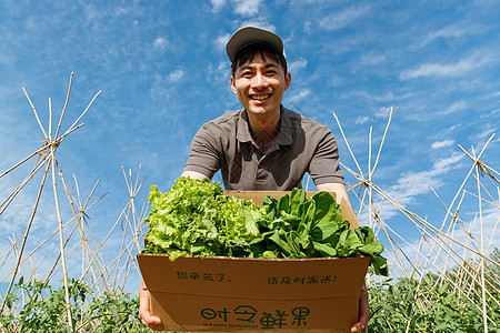 菜地里抱着新鲜蔬菜的快递员图片