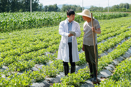 科研人员和农民在菜地里交流技术图片