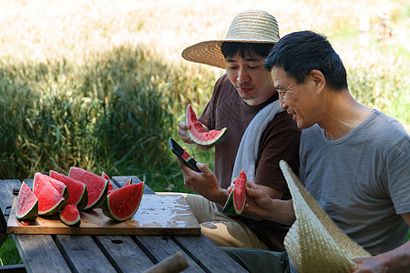 吃西瓜农民农民在田地旁休息吃西瓜背景