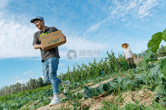 穿梭在田地间的快递员图片