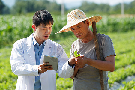 科研人员和农民在菜地里交流技术图片