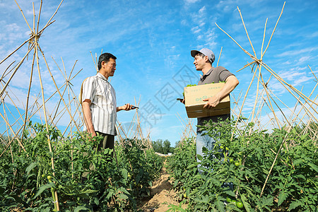 农民快递蔬菜图片