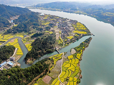 稻田航拍美丽乡村田园油菜花风景航拍背景