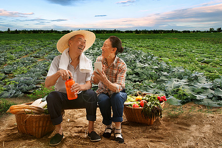 水杯摄影农民夫妇坐在田头看手机背景