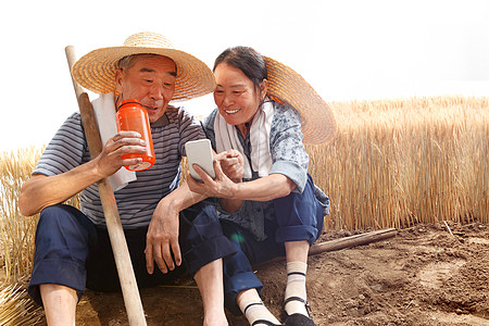 金色互联网农民夫妇坐在麦田里用手机视频背景