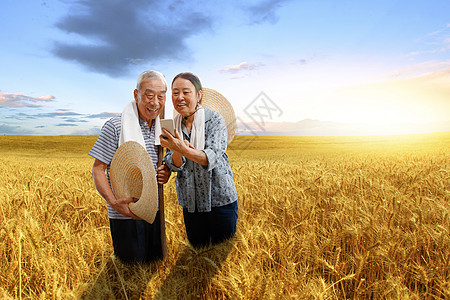 新农村农民夫妇站在麦田里用手机视频背景