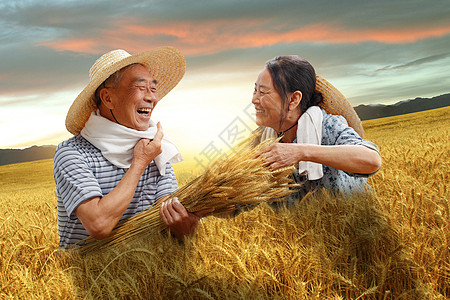 中国农民丰收日农民夫妇在麦田里劳动背景