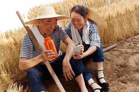 农民夫妇坐在麦田里用手机视频图片