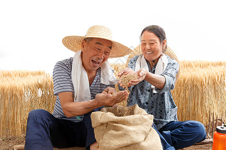 花生田地农民夫妇幸福的看着麦子背景