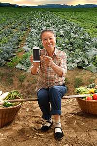 坐在田头的农民拿着手机图片
