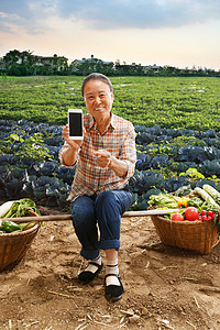 坐在田头的农民拿着手机图片