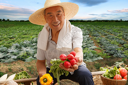 坐在田头的农民图片