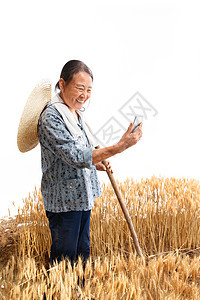 麦田里的农民用手机视频图片