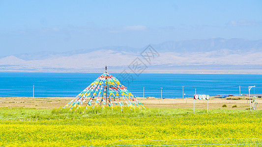 青小柠青海湖油菜花风光背景