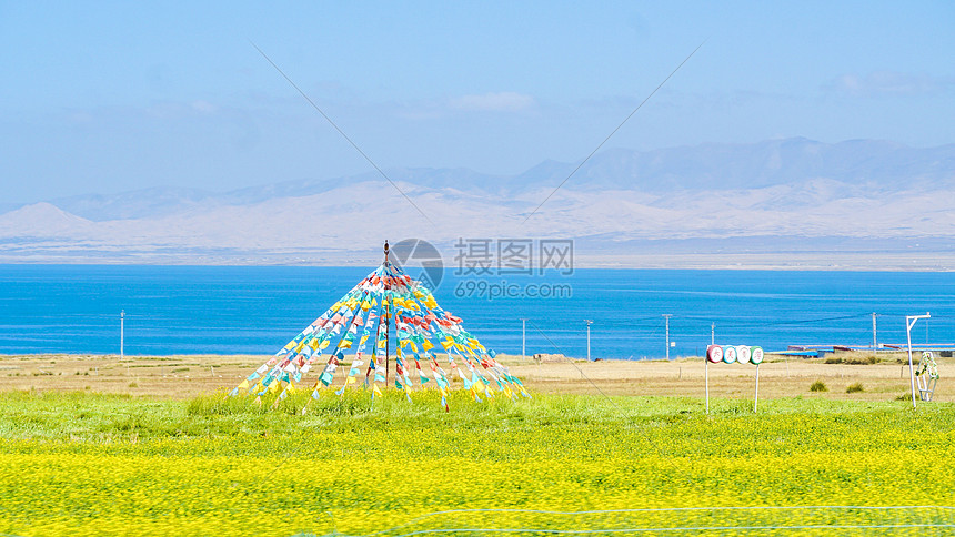 青海湖油菜花风光图片