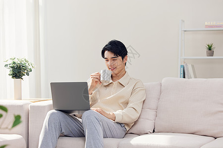 午后喝茶居家男性看电脑喝茶背景