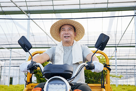 农民开车运输蔬菜图片
