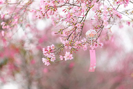 手绘花海唯美浪漫的粉色樱花背景