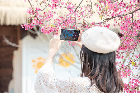 粉色花朵春天樱花树下用手机拍照的女生背影背景