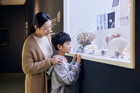 年轻母亲带着儿子参观博物馆的珊瑚标本图片