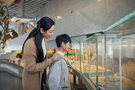 小男孩和妈妈参观动物化石图片