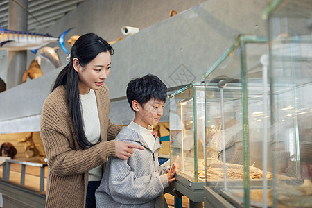 展览馆母亲带着孩子在自然博物馆参观背景