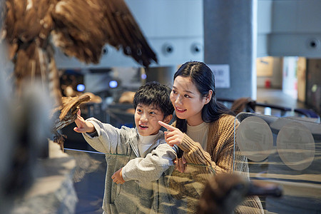 变化母亲带着孩子在自然博物馆参观背景
