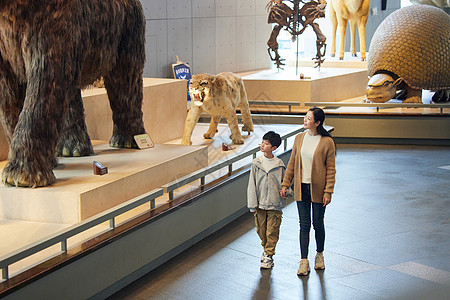 母亲带着孩子在自然博物馆参观高清图片