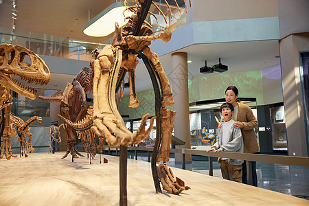 在自然博物馆参观化石的母子图片