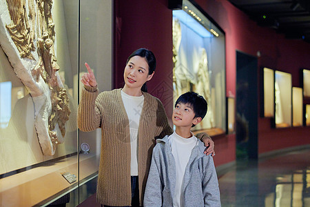 母亲给儿子讲解动物化石图片