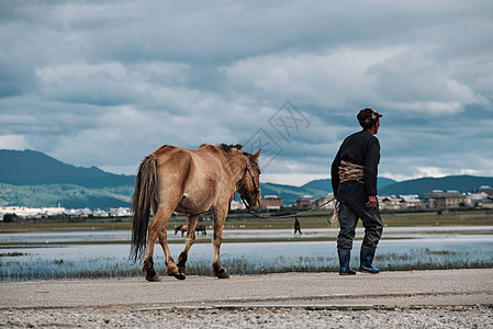 纳帕海景区牵着马走的农民图片