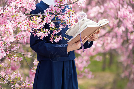 樱花树下看书的女生背影图片