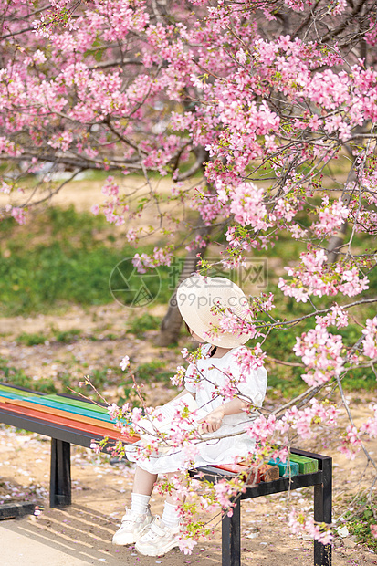 樱花树下的小女孩图片