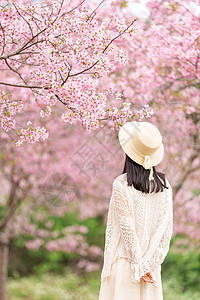 春天樱花树下女生背影图片