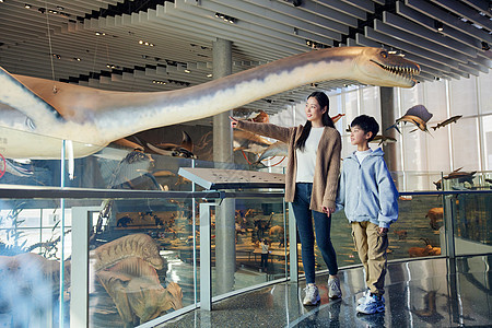 母亲带着儿子观看恐龙模型图片