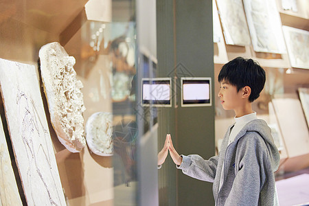 儿童独自在博物馆参观化石标本背景图片