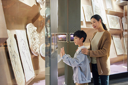 母亲和儿子参观化石标本背景图片