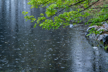 谷雨时节田间清明时节雨纷纷背景