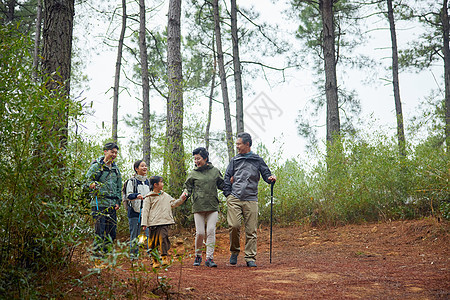 大家庭树林中徒步旅行图片